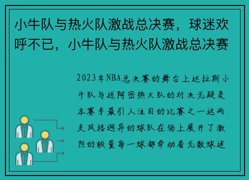 小牛队与热火队激战总决赛，球迷欢呼不已，小牛队与热火队激战总决赛,球迷欢呼不已