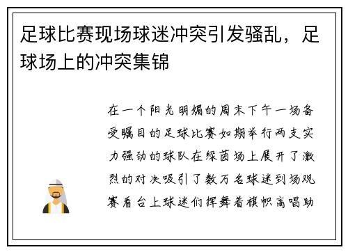 足球比赛现场球迷冲突引发骚乱，足球场上的冲突集锦